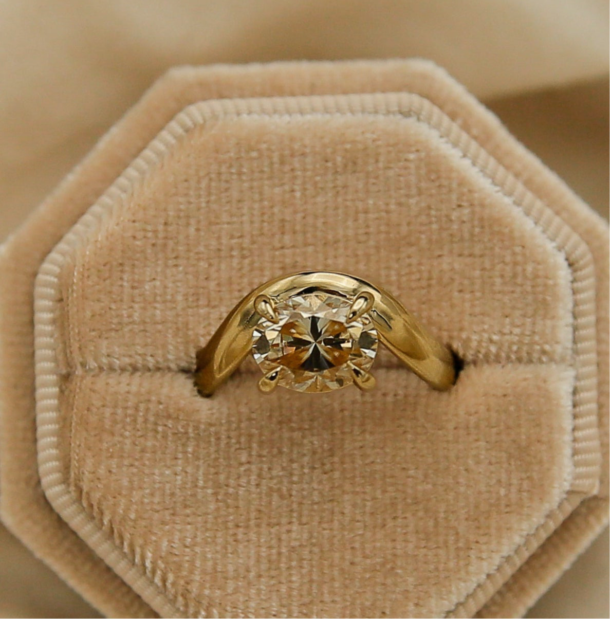 Hydra 14k | 2 ct Champagne Moissanite | sz 7