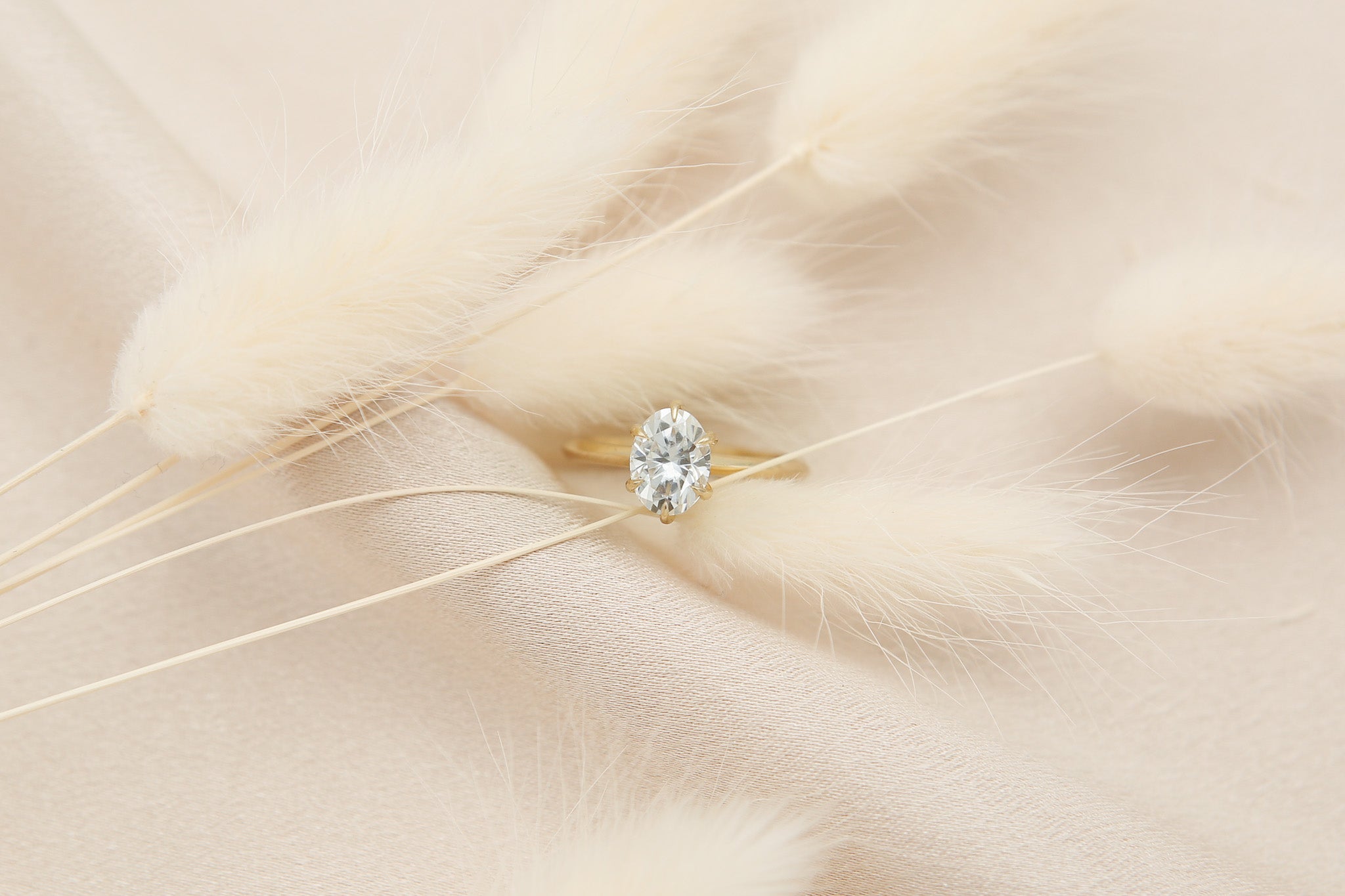 Sable | CIVAL Originals | 14k 1.5ct Moissanite Ring