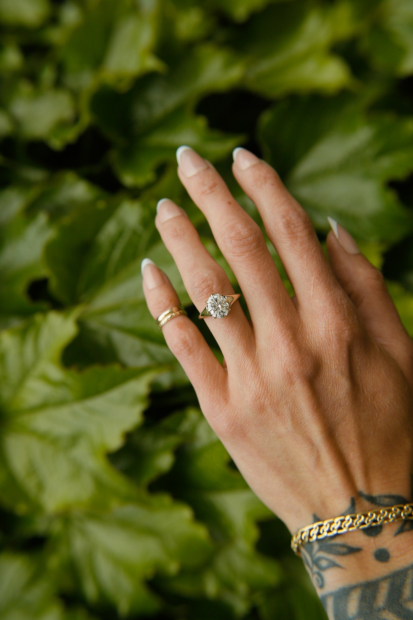 Amelia 3.0 Moissanite | sz 7