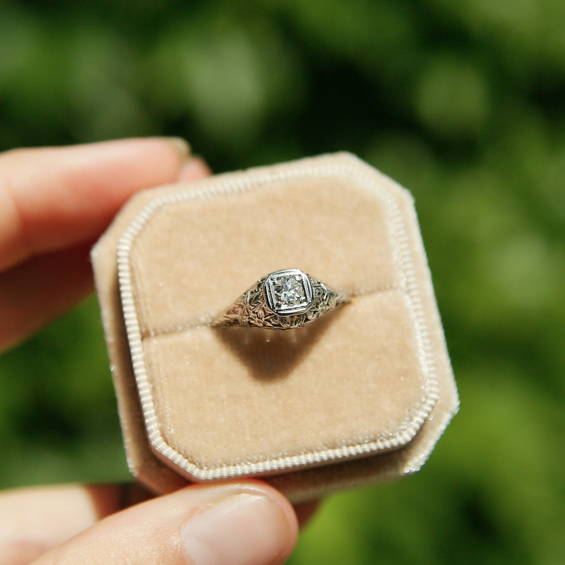 Hand holding a ring on a small cushioned box with a blurred green background