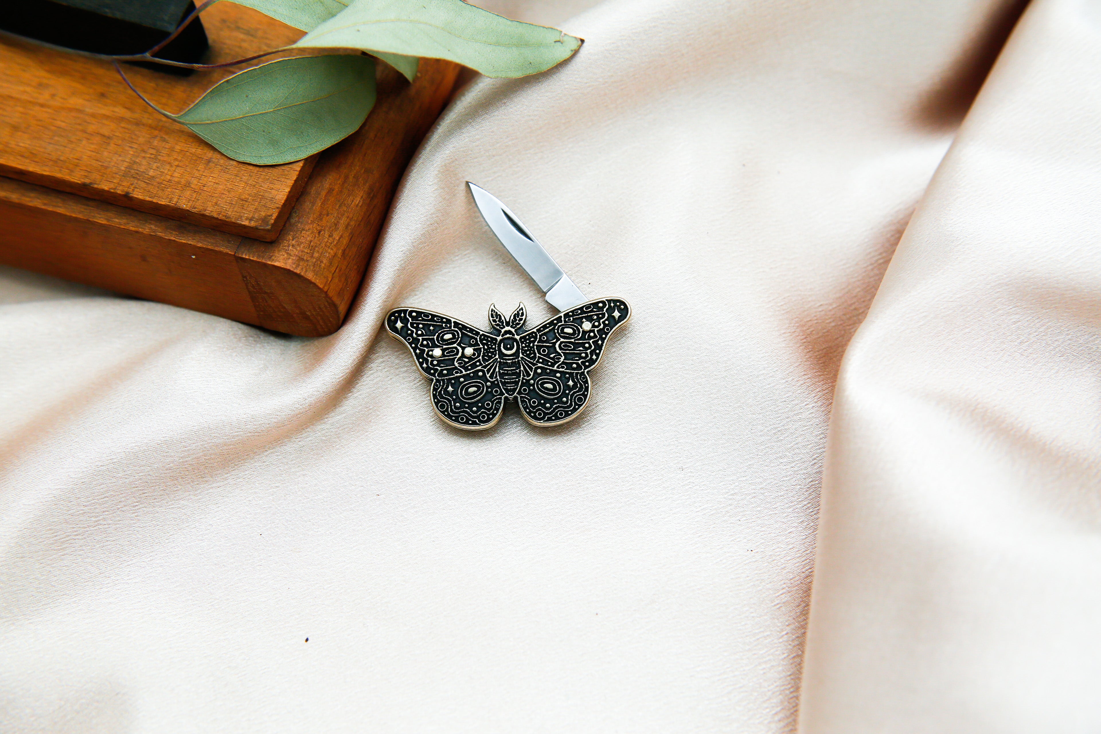 small moth pocket knife with blade slightly open