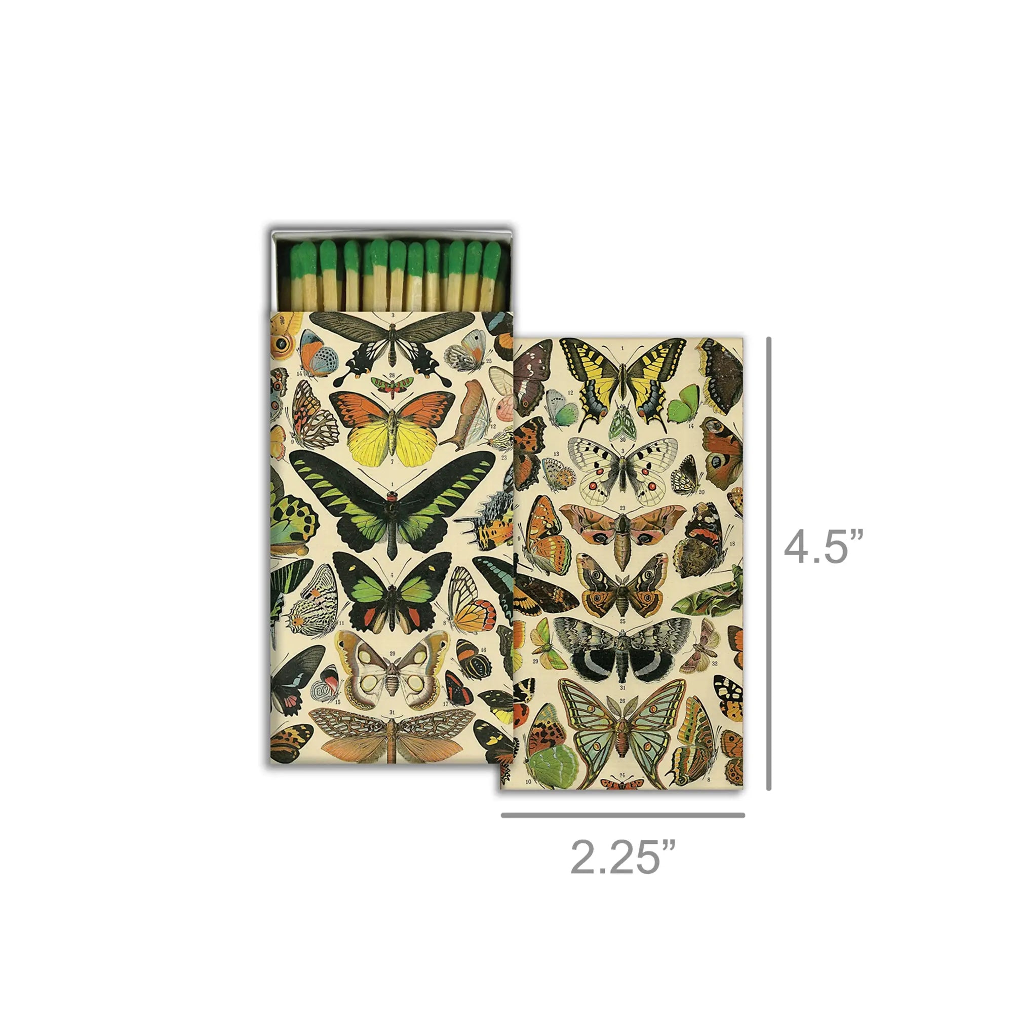 Matches | Butterfly Specimens