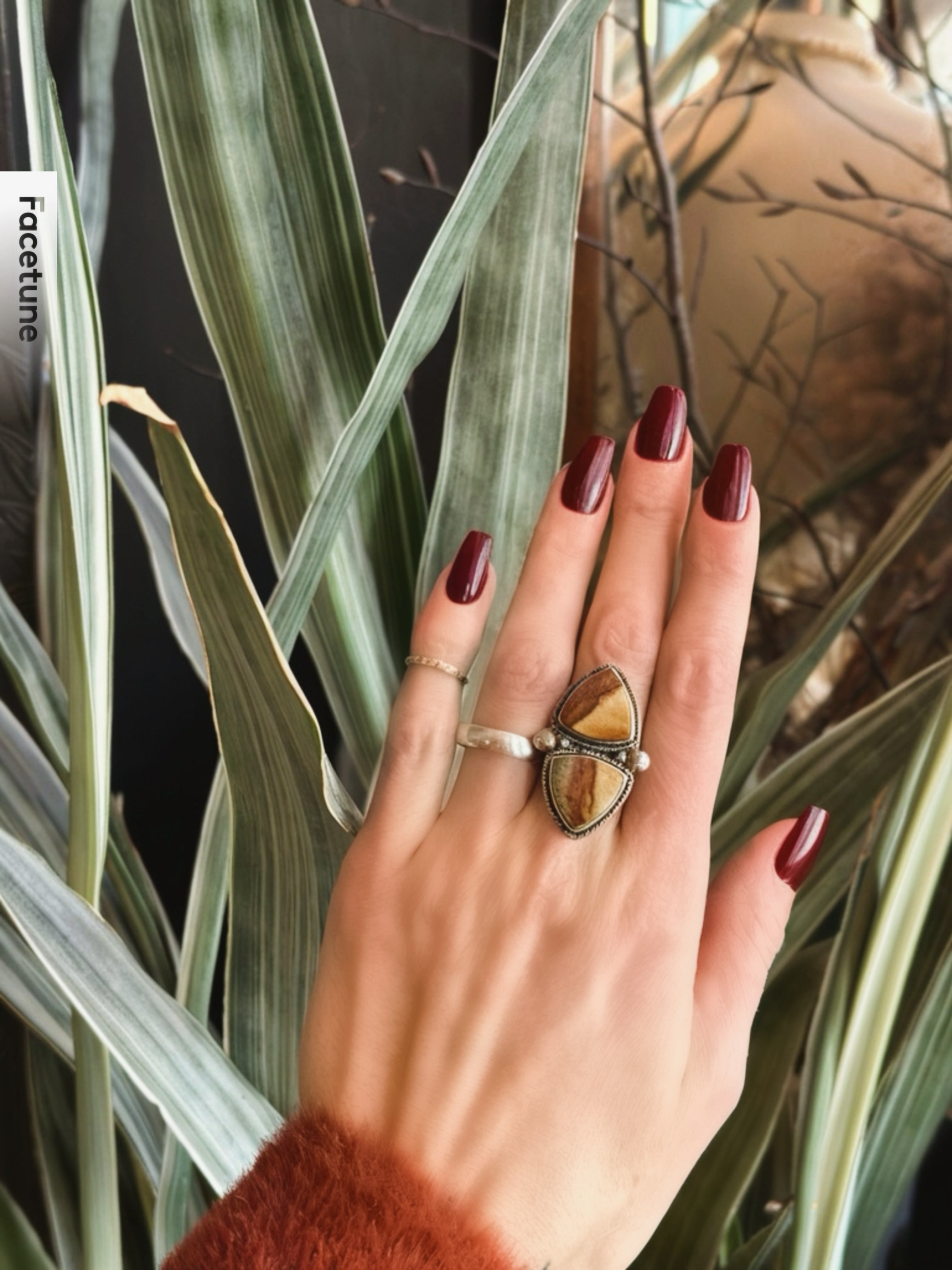 Picture Jasper ring