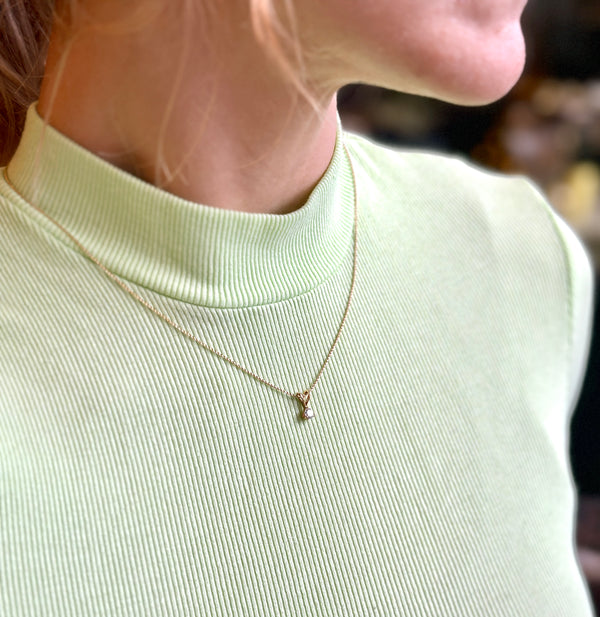 Natural Quarter Carat Diamond Pendant in a 14k Yellow Gold Setting and Rope Chain By Milwaukee Jewelry Shop Cival Collective