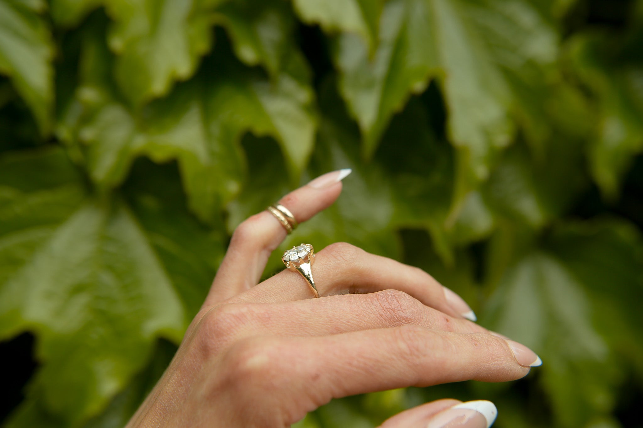 Amelia 3.0 Moissanite | sz 7