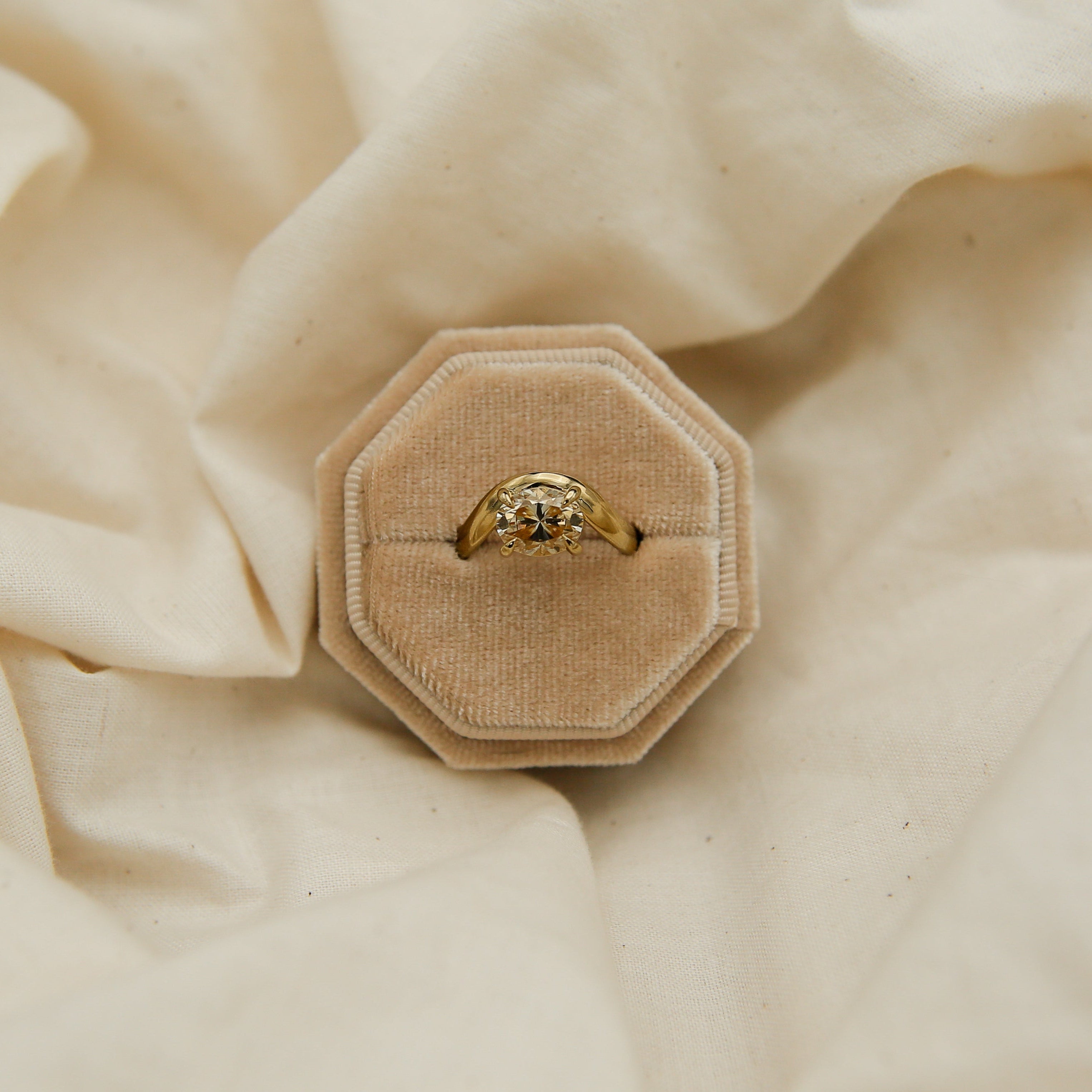 Hydra 14k | 3 ct Champagne Moissanite | sz 7