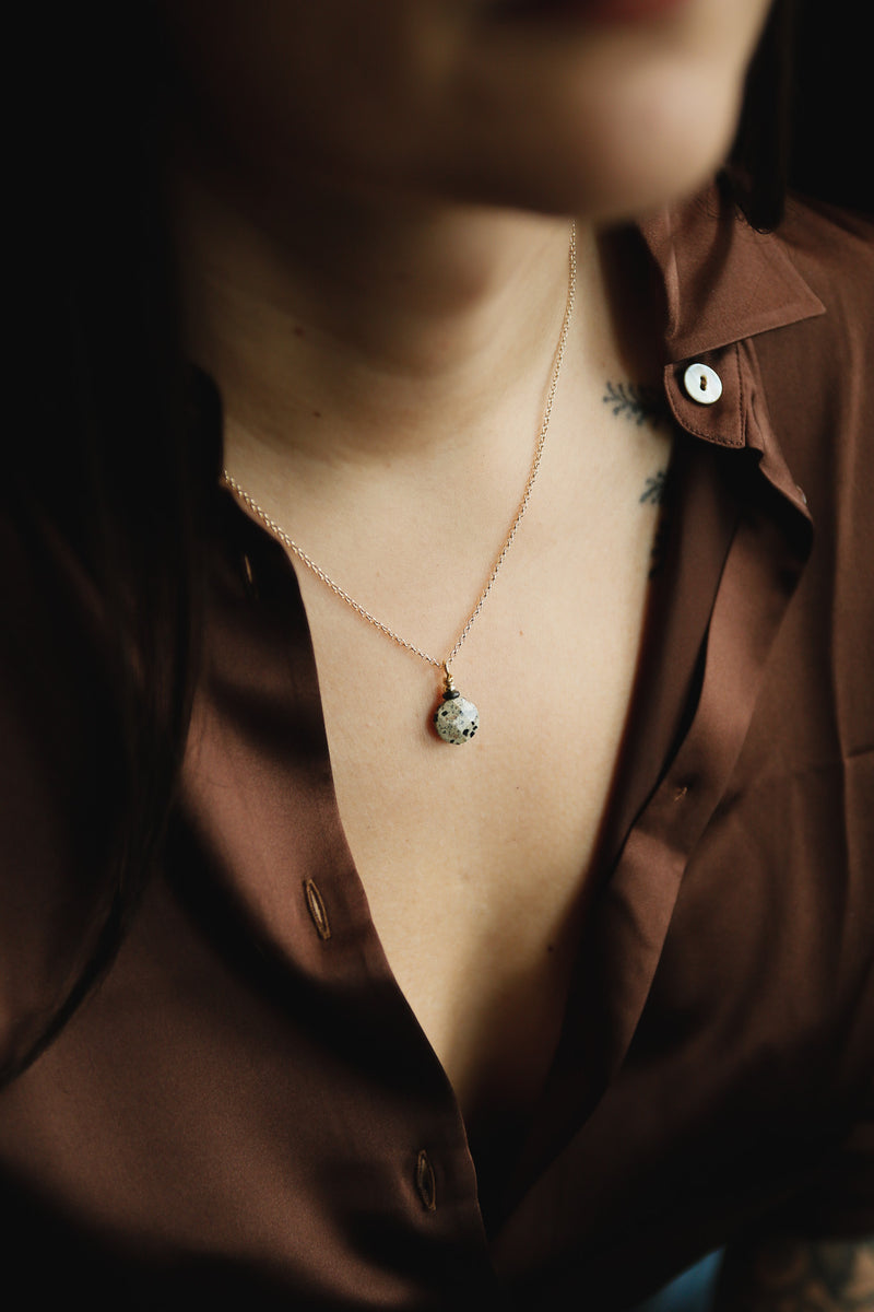 Dalmatian jasper faceted coin necklace on fine gold fill chain 