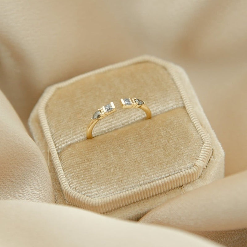 Cory | 14K Gold Salt and Pepper Diamond Ring