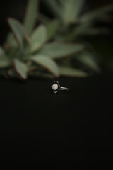 Shae Ring