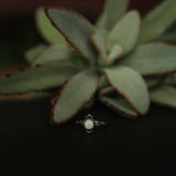 Shae Ring