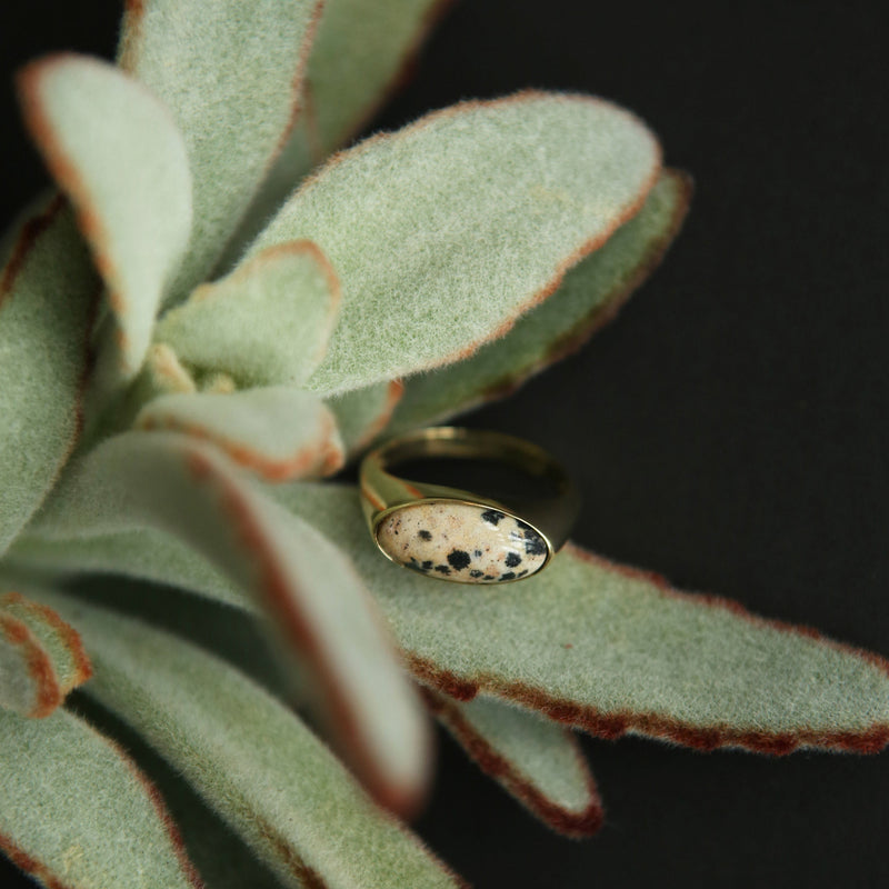 Brass cast oval dome ring with east west set Dalmatian jasper cabochon.