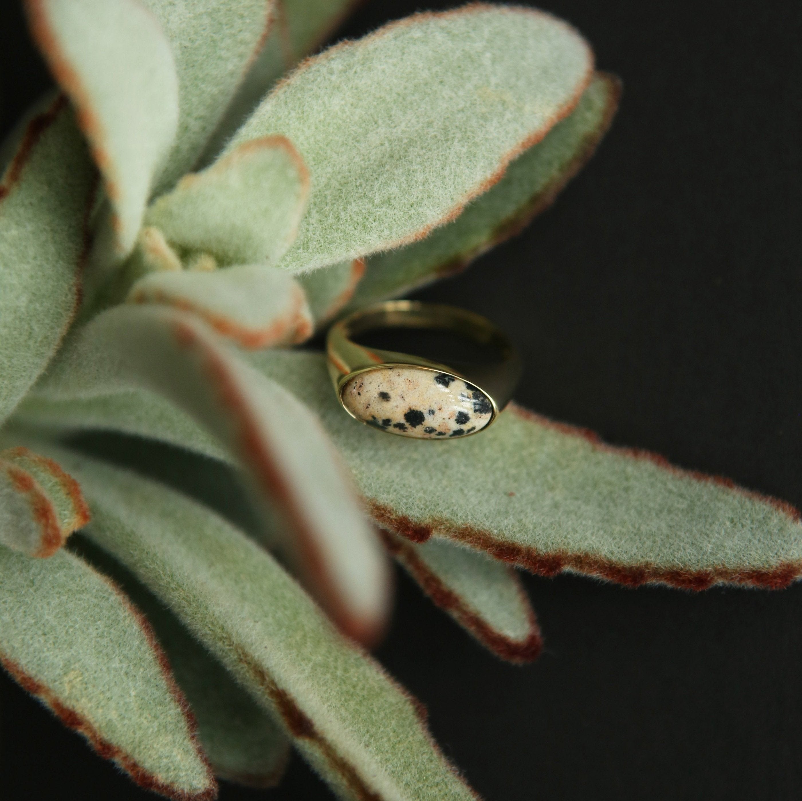 Koda Luxe Ring | 14k Gold & 14k White Gold