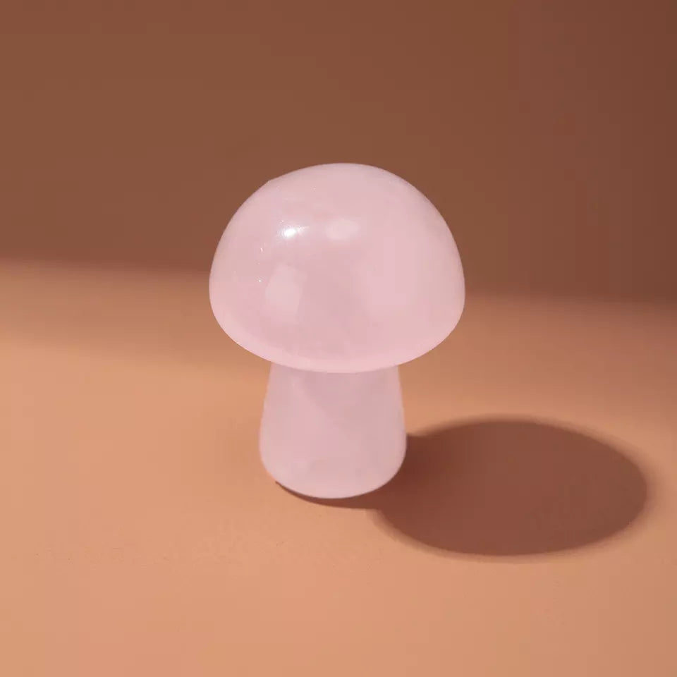 Mushy Boys | Mushroom Crystal